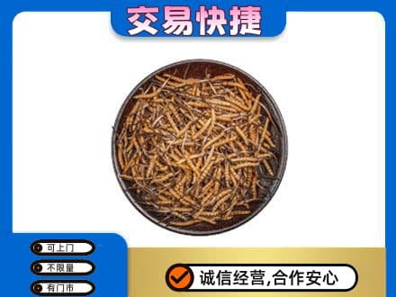 辽阳高价回收散虫草